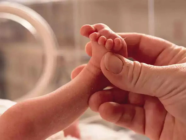 एसेंशियल ऑयल