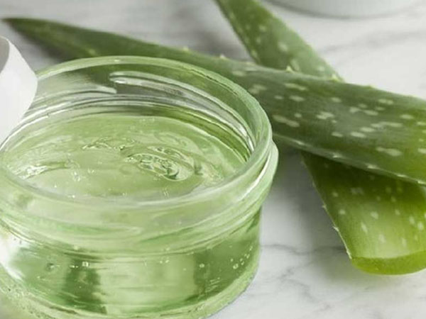 एलोवेरा जेल