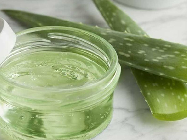 एलोवेरा और शहद का फेस पैक एलोवेरा और शहद का फेस पैक