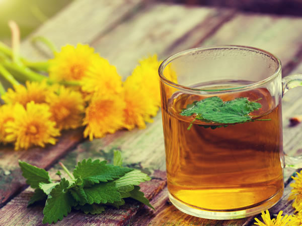 डंडेलियन लीफ टी