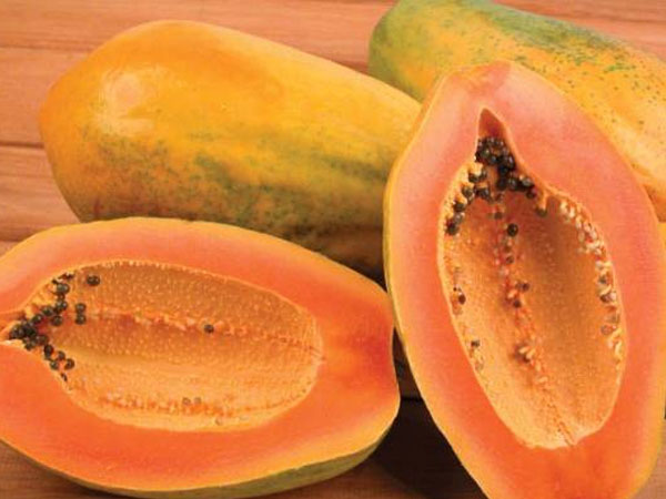 पपीता के नुकसान