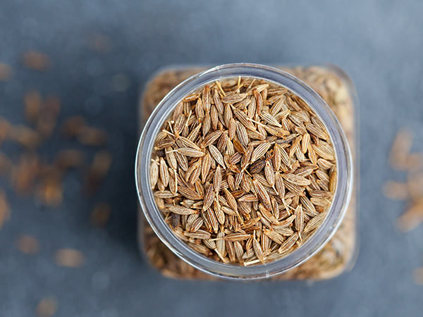 फाइन लाइंस 