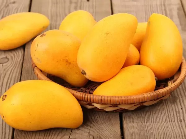 आम के फेस पैक का फायदा