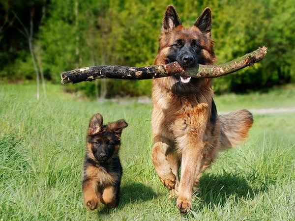 करवाएं व्यायाम