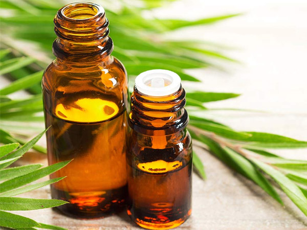 टी ट्री ऑयल