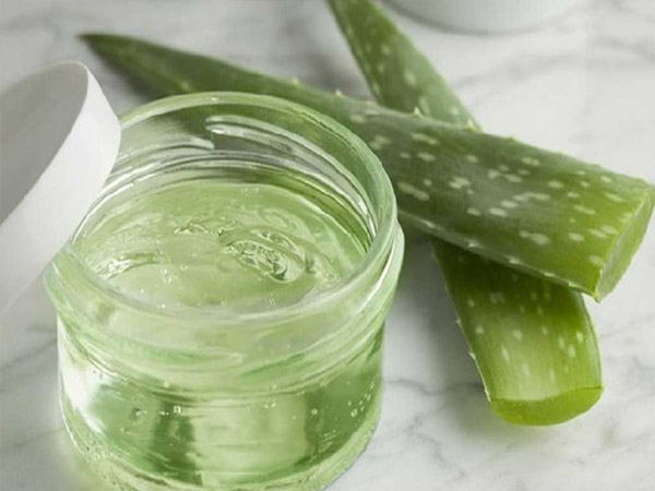 एलोवेरा जेल के फायदे एलोवेरा जेल के फायदे