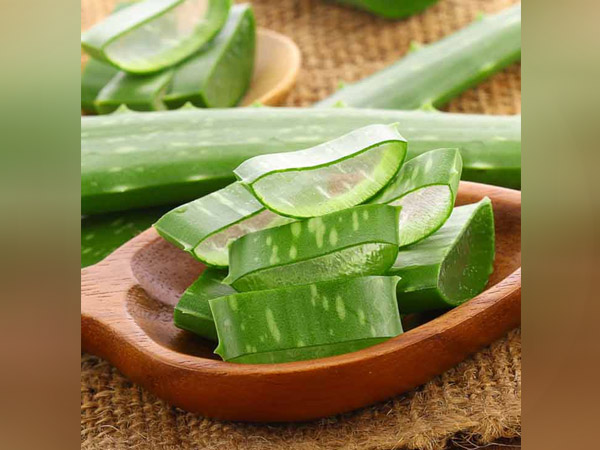 एलोवेरा जेल के फायदे