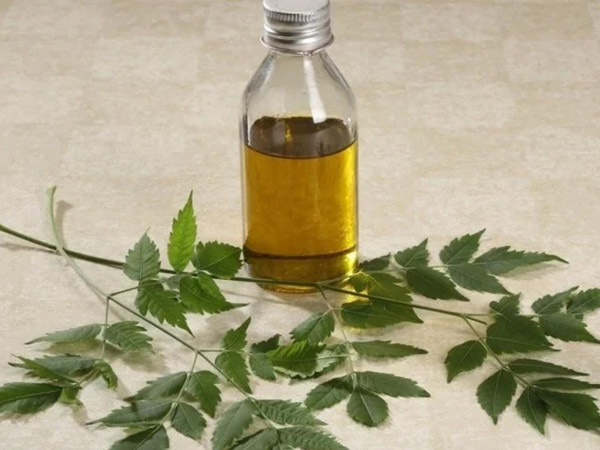  इन बातों का रखें ध्यान