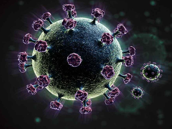 Triple Mutation Bengal strain