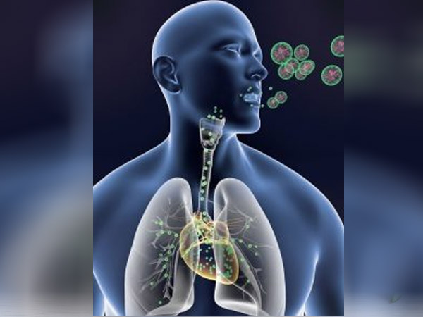 सांस संबंधी बीमारी के लिए फायदेमंद है गिलोय