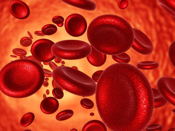 खून की कमी को करता है दूर