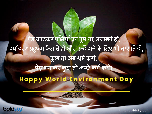 पेड़ काटकर पक्षियों का तुम घर उजाड़ते हो,