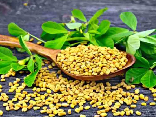 मेथी पेस्ट के फायदे