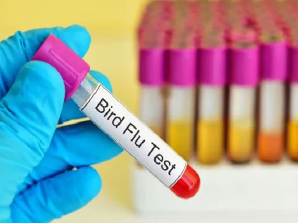 क्‍या है एच10एन3?