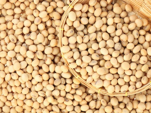 प्रतिरक्षा तंत्र को करे मजबूत