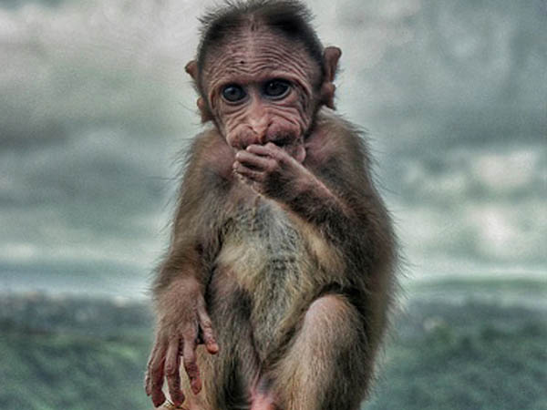 होते हैं यह लक्षण