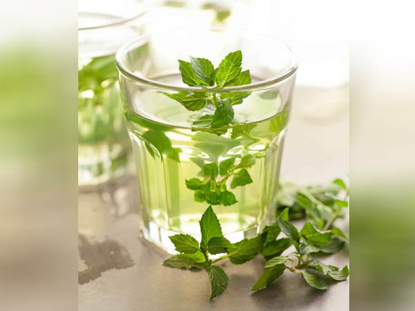 टी ट्री और पुदीना ऑयल माउथवॉश