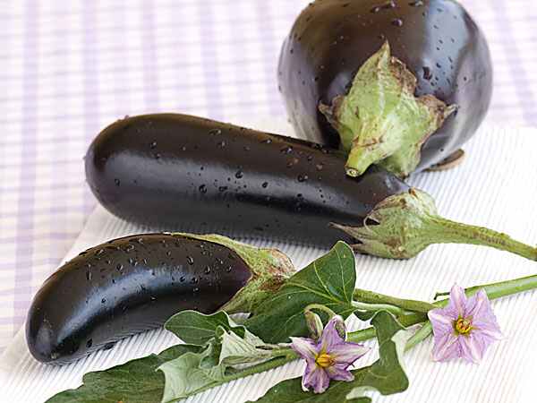 Health Benefits Of Eggplant/Brinjal Leaves In Hindi Health Benefits Of Eggplant/Brinjal Leaves In Hindi