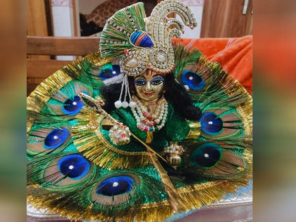 मोरपंख ड्रेस