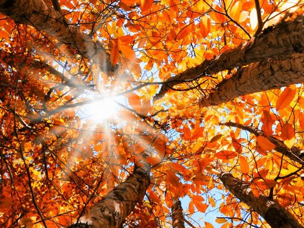 क्या है ऑटम इक्विनॉक्स