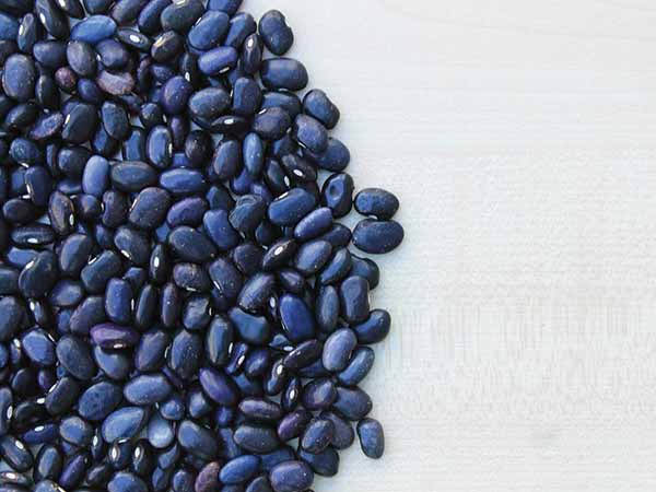 प्रोटीन और कॉम्पलेक्स कार्बोहाइड्रेट से भरपूर