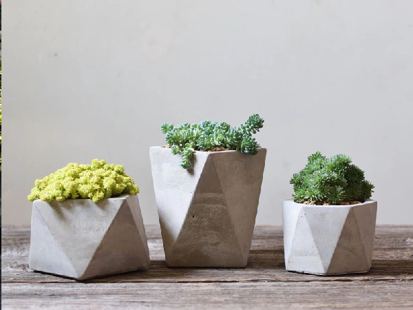 यूं सजाएं अपना पॉट