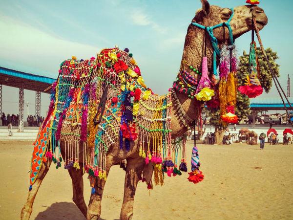 भव्य मेले का होता है आयोजन