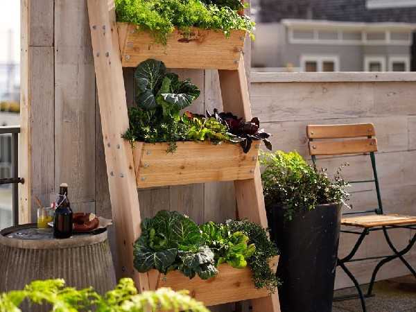 बनाएं प्लांट स्टैंड