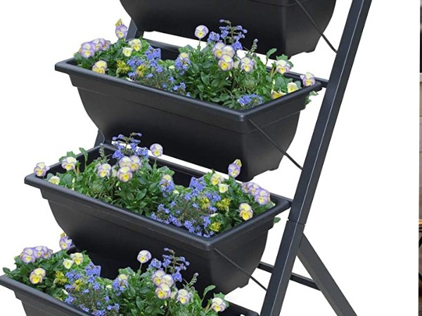 हैंगिंग वर्टिकल गार्डन