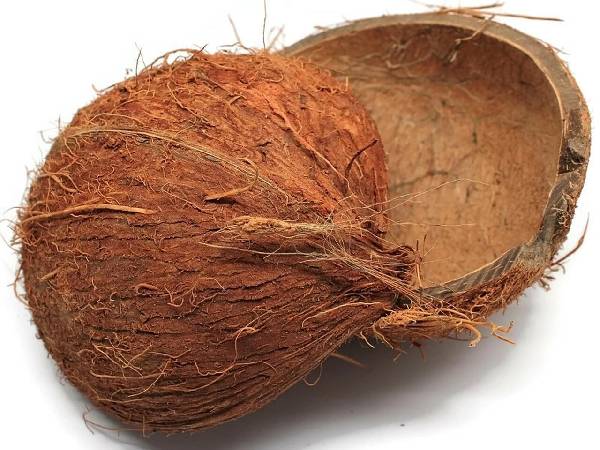 नारियल से कैसे बनाएं हेयर डाई