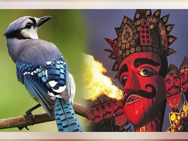 नीलकंठ के दर्शन