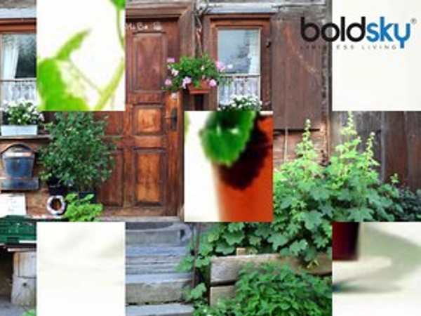 बिना पैसे के बगीचे को सुंदर कैसे बनाएं