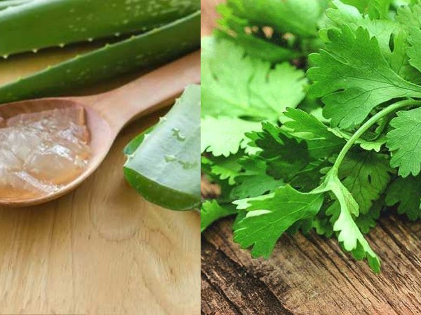 एलोवेरा और धनिया हेयर पेस्ट 