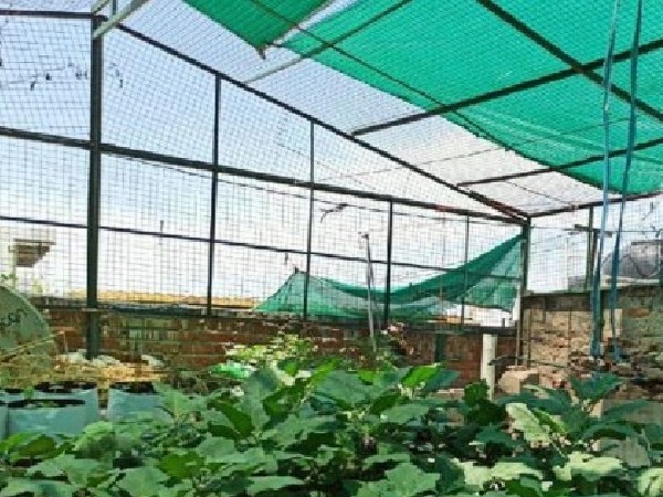 पहले बनाएं टैंट