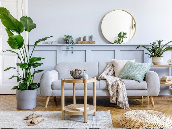 ग्रीनरी पर दें ध्यान