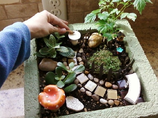 ट्रे गार्डन के लिए कंटेनर