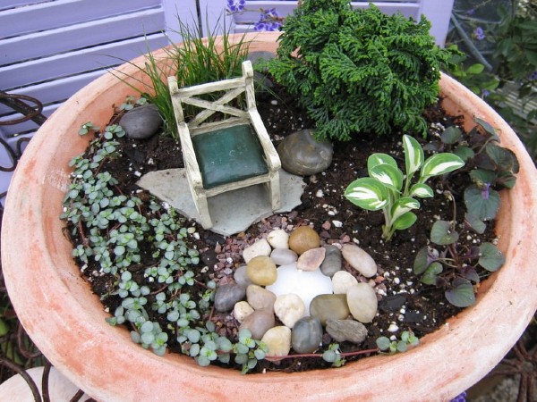 ट्रे गार्डन ऐसे करें तैयार