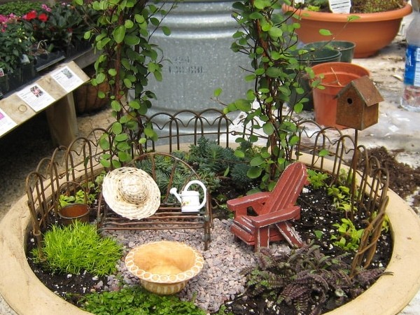 ट्रे गार्डन में ऐसे लगाएं प्लांट्स