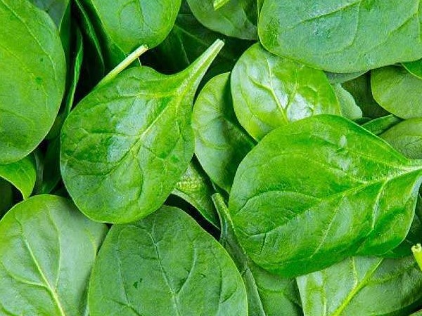 पालक का फेस पैक