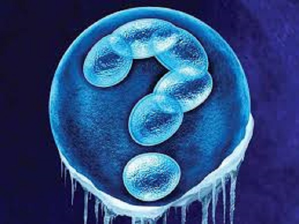 एग डोनेशन और आईवीएफ के बीच अंतर