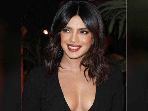 ब्राउन ब्लश शेड्स