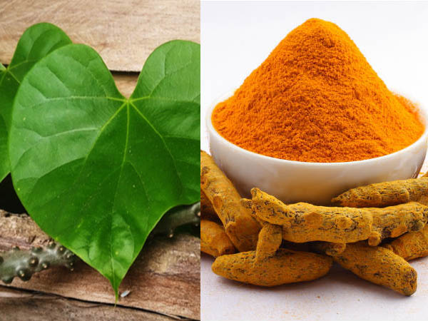 गिलोय और हल्दी