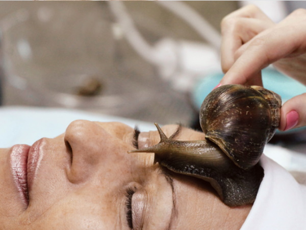 स्नेल स्लाइम करेगी मदद