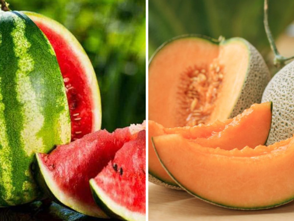 दोनों में से कौन बेहतर है?