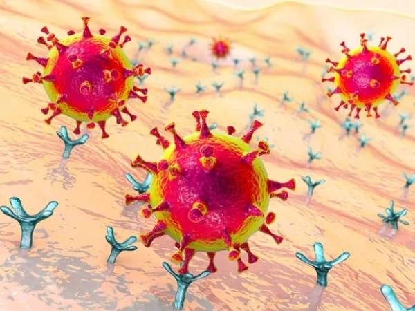 XE variant के लक्षण