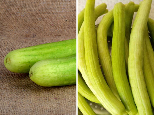 खीरा Vs ककड़ी बनावट के आधार पर