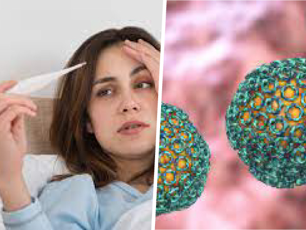 मच्छरों से फैलता है RVF