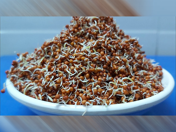 प्रोटीन की डबल मात्रा