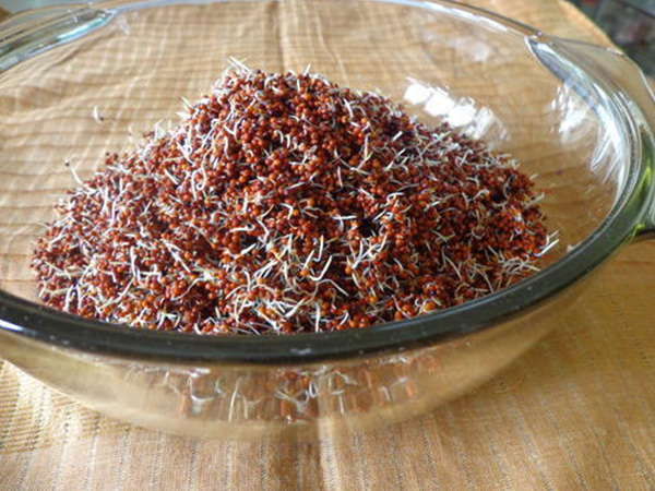 लंबे समय तक पेट को भरा हुआ रखता है