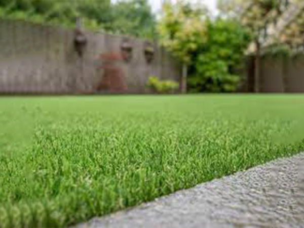 लॉन के घास काटे लॉन के घास काटे